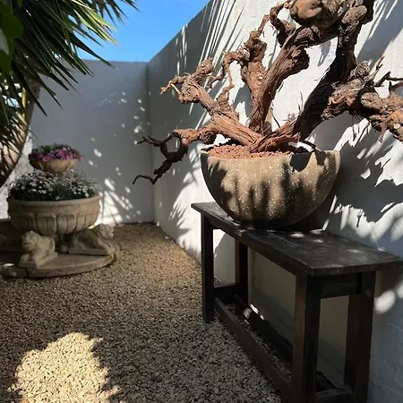 Penzion Del Vino La Costera (adults Only) Altea