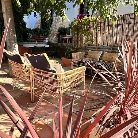 Del Vino La Costera (adults Only) Penzion 4*